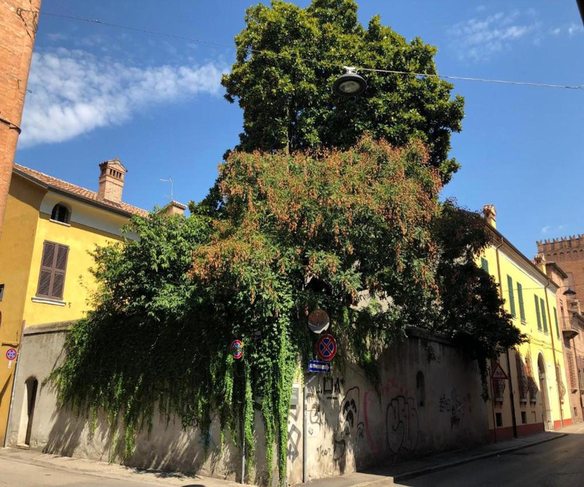 Il Giardino Segreto Leilighet Ferrara Eksteriør bilde